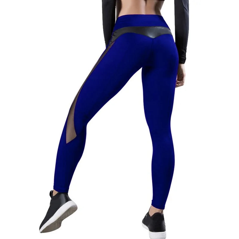 Hot Women Yoga Pants Leggings Aristo Threads