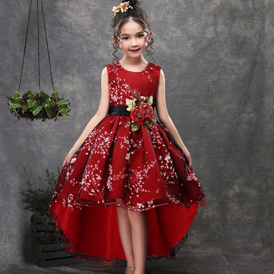 Princess Party Dresses Aristo Threads