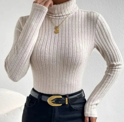 Chic Turtleneck V-Neck Knit Top